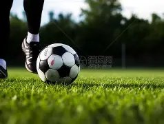 标题改写,独家揭秘,佩普力主国,开云体育登录入口,开云体育平台,开云体育注册网址,开云体育app,开云体育官网,开云体育网站,开云体育网页版