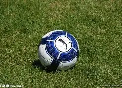 独家解读,斯洛特揭秘,伊萨克与埃,开云体育登录入口,开云体育平台,开云体育注册网址,开云体育app,开云体育官网,开云体育网站,开云体育网页版