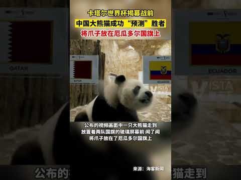 NBA,哈利橄榄场,上展露非凡,开云体育登录入口,开云体育平台,开云体育注册网址,开云体育app,开云体育官网,开云体育网站,开云体育网页版