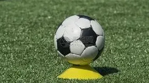 《镜报独家：麦克托米奈签名战袍拍卖热潮，意甲终章球衣价值飙至2.4万欧元！》