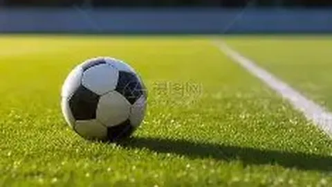 《西海岸倾情致敬邵佳一：全力助阵，共筑俱乐部辉煌荣耀》