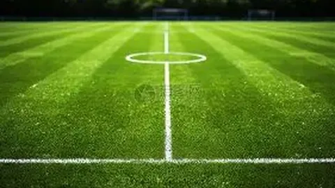 开云体育 资讯 083052 2ez